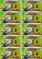 Pack 60 Cards Official Adrenalyn XL brasileirão 2020-21
